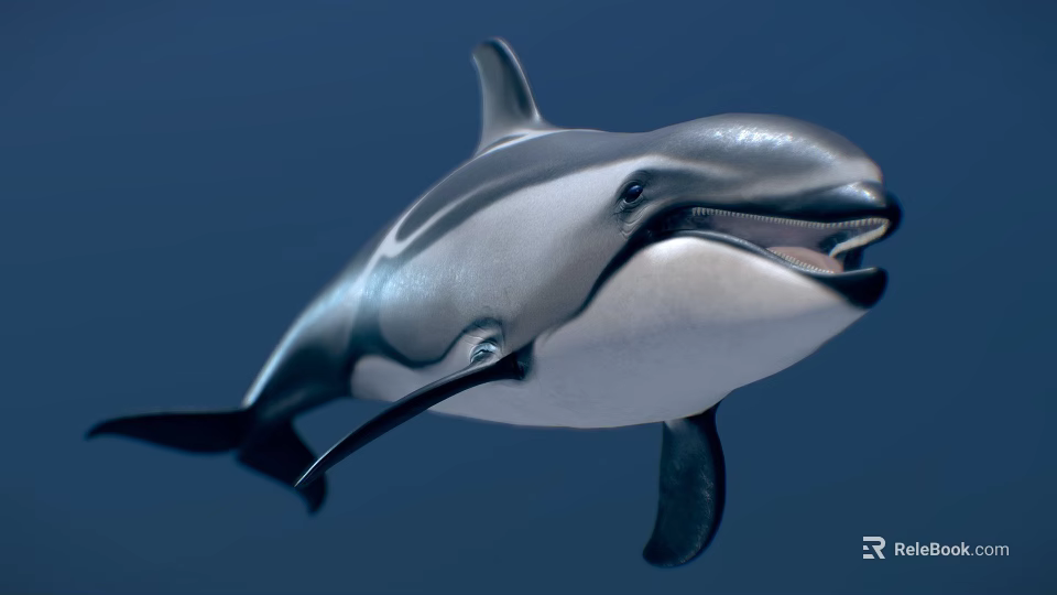 Black And White Dolphin Swimming With Smooth Skin And Open Mouth 3d model 