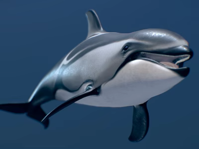 Black And White Dolphin Swimming With Smooth Skin And Open Mouth 3d model