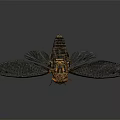 View of Cicada with Black Wings Yellow Black Striped Body Red Eyes on Dark Background