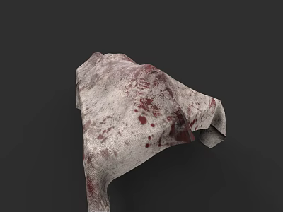 Game Movie Character Worn Cloak With Bloodstains On Gray White Fabric 3d model