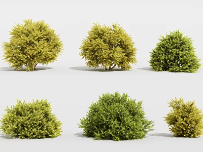 Various Types of Green and Yellow Bushes With Different Shapes and Textures 3d model