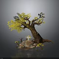 Tree With Yellow Leaves And Brown Trunk And Cross On Stone Surrounded By Small Plants