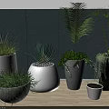 Various Potted Plants in Decorative Pots with Blue Wall and Wooden Floor
