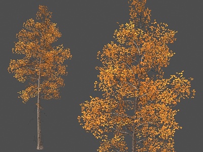 ginkgo tree autumn deciduous yellow leaf plant autumn trees autumn scenery tree forest plant maple ginkgo tree autumn deciduous yellow leaf plant autumn tree 3d model