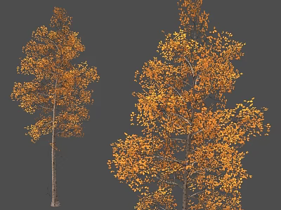 Autumn Arbor Trees With Vibrant Orange Leaves And Straight Trunks Scenery 3d model