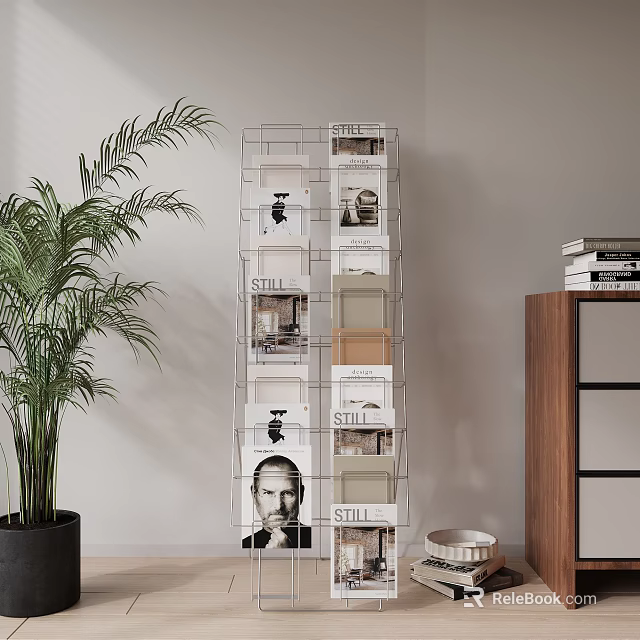 Transparent Magazine Rack With Stacked Magazines Palm Plant And Wooden Cabinet 3d model 