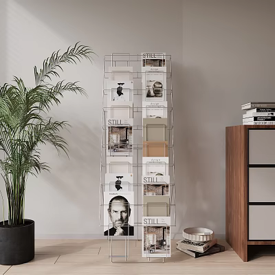 Transparent Magazine Rack With Stacked Magazines Palm Plant And Wooden Cabinet 3d model