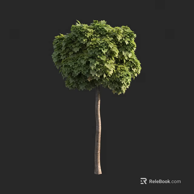 Lush Green Arbor With Dense Foliage And Straight Brown Trunk 3d model