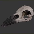 Anatomical Bird Skull with Long Sharp Beak Isolated on Gray Background
