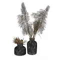 Decorative Textured Dark Vases With Dried Pampas Grass Floral Arrangement