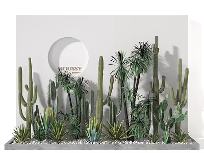 Shrubs Green Plants Landscape With Cactus Agave White Wall Circular Decoration Gray Base White Pebbles 3d model