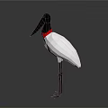 Low Poly Style Bird Model Featuring White Body Black Head Beak And Red Collar