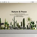 Diverse Bonsai and Potted Plants Collection With Cacti Succulents Nature and Peace Theme