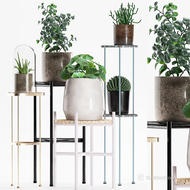 Stylish Potted Plants Display On Various Shelves With Different Pots And Green Leaf Varieties 3d model 