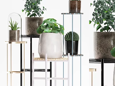 Stylish Potted Plants Display On Various Shelves With Different Pots And Green Leaf Varieties 3d model