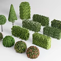 shrub hedge square shrub greenbelt plant combination isolation belt shrub ball shrub 3d model