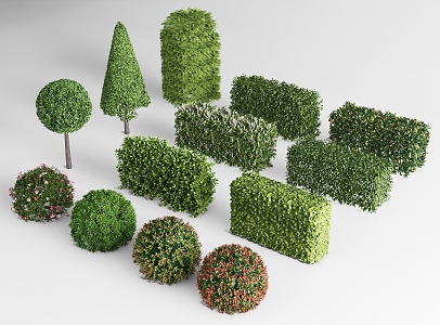 shrub hedge square shrub greenbelt plant combination isolation belt shrub ball shrub 3d model