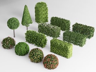 shrub hedge square shrub greenbelt plant combination isolation belt shrub ball shrub 3d model