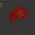 Colorful Vibrant Insect With Green Yellow Blue Body Red Legs Shiny Exoskeleton On Dark Background