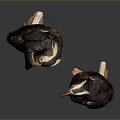 Two Puffins With Brown Black Feathers And Colorful Beaks On Dark Reflective Surface