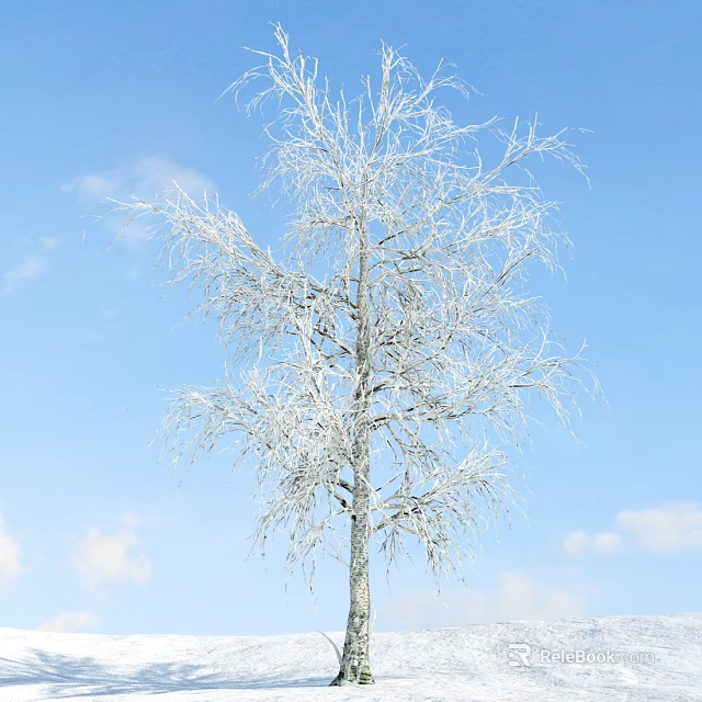 Snow Covered Birch Tree With White Branches Against Blue Sky And Clouds 3d model 