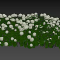 Ornamental Decor Set with White Hydrangea Blooms and Lush Green Leaves