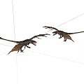 Two Realistic Pterosaur Models With Extended Wings And Dynamic Poses 3d model