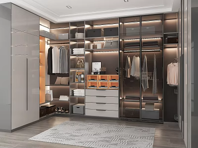 Stylish Modern Walk-in Closet Interior With Glass Door Cabinets Hanging Clothes And Storage Drawers 3d model