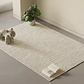 Neutral Woven Square Rug with Decorative Figurine Potted Plant and Open Book for Living Room