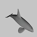Realistic 3D Orca Model With Black And White Coloration And Detailed Fins