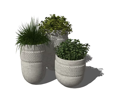 Three Potted Bonsai Plants in Concrete Pots with Woven Texture and Green Foliage 3d model