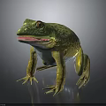Green And Yellow Textured Frog Standing On Dark Reflective Surface With Open Mouth