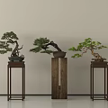 Three Bonsai Plants Displayed On Decorative Wooden Stands Against Light Colored Wall