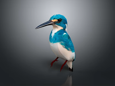 Vibrant Blue And White Kingfisher With Long Black Beak And Red Feet On Gray Background 3d model