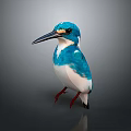 Vibrant Blue And White Kingfisher With Long Black Beak And Red Feet On Gray Background
