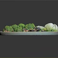 Fresh Healthy Vegetable Salad with Broccoli Almonds Mushrooms Peas and Lettuce