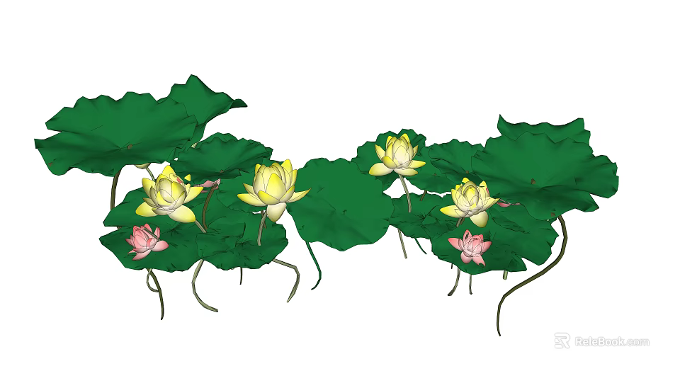Beautiful Yellow And Pink Lotus Flowers With Green Leaves In Bloom 3d model 