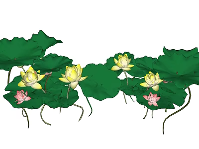 Beautiful Yellow And Pink Lotus Flowers With Green Leaves In Bloom 3d model