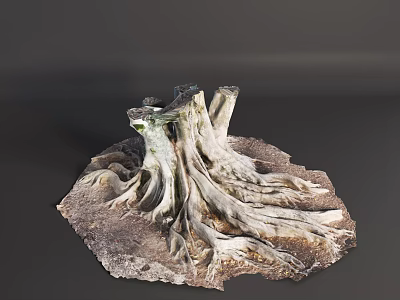 Weathered Tree Stump With Extensive Exposed Roots On Earthy Ground Surface 3d model