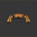 Orange Crab with Large Purple Tipped Claws on Dark Background like Detailed Texture and Reflection