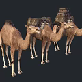 Three Brown Camels Carrying Packed Goods On Their Backs Together 3d model