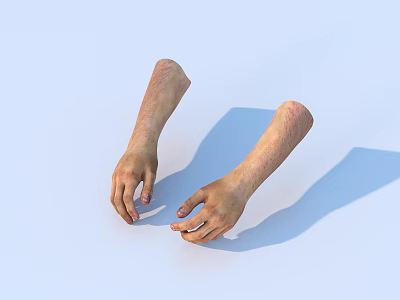 Disembodied Arms And Hands With Clear Skin Texture On Light Blue Background Showing Shadows 3d model