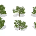 Various Arbor Trees With Green Foliage And Brown Trunks For Landscaping Design 3d model