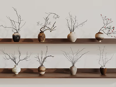 Decorative Vases With Branches And Red Berries Arranged On Wooden Shelves 3d model