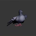 Two Blue Purple Pigeons With Pink Feet 3D Model On Dark Background With Reflection