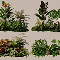 Diverse Plant Combinations with Various Green Foliage Ferns and Monstera Leaves on Mossy Base