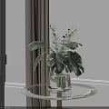 Transparent Glass Vase with Fresh Green Plants on Round Glass Table Near Window Curtain