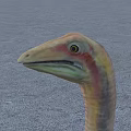 Prehistoric Reptile Dinosaur With Long Neck Standing On Gravel Ground