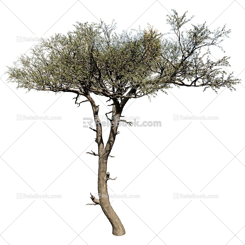 Balanites Trees 18 3d model