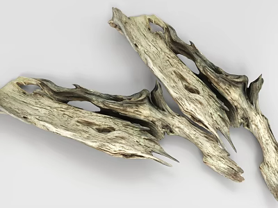 Natural Stone Wood Driftwood With Holes And Irregular Grayish White Texture 3d model